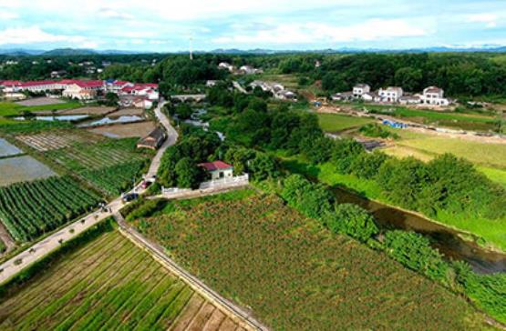農(nóng)村污水治理企業(yè)哪家好？雖然農(nóng)村污水行業(yè)市場空間大，但是相對于城市污水處理廠，農(nóng)村污水治理對水務企業(yè)的吸引力偏弱。相比城市，農(nóng)村污水處理市場更分散，專業(yè)人員少，對運維的要求更直接、迫切。